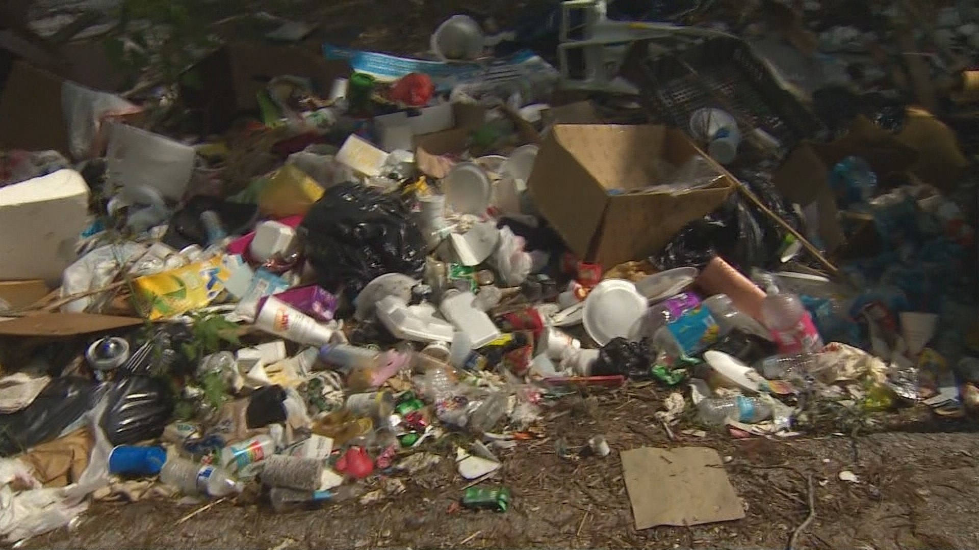 Heavy garbage dropoff sites could be possible solution to illegal